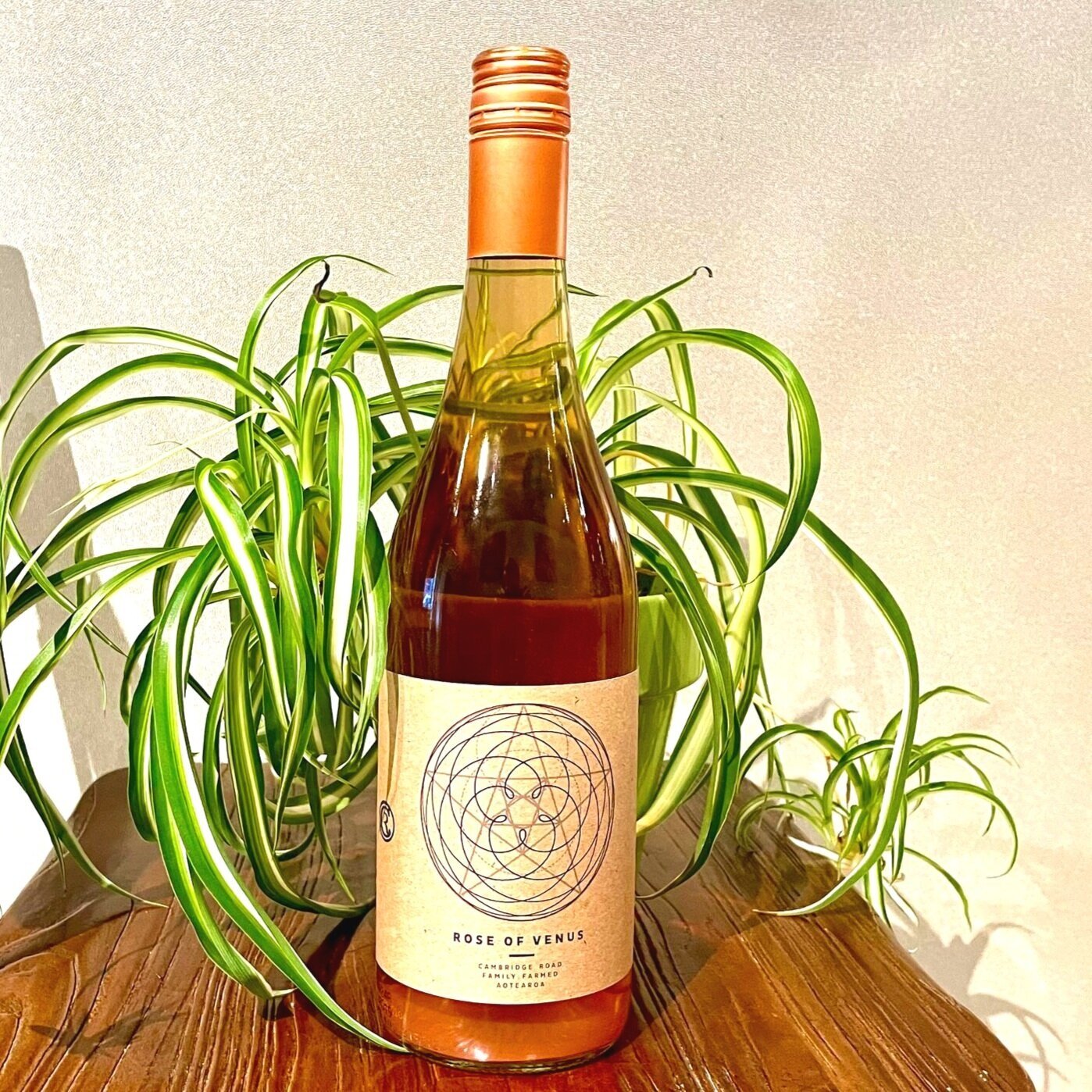 Featuring: Cambridge Road’s “Rose of Venus” Skin Contact Riesling